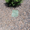 Tranquil Grounds Management gallery