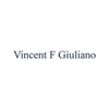Vincent F Giuliano, PC gallery