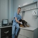 Animal Medical Hospital - Veterinarians