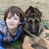 Appleridge German Shepherds gallery