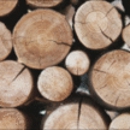 Beko's Trees Llc & Wood Carving - Construction & Building Equipment