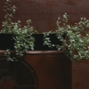 Rollins Heating & Air gallery