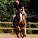 Rolling Hills Farm Equestrian Center - Horse Training