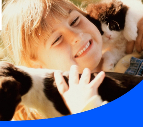 South Coast Veterinary Hospital - Kiama, NSW. Full Range Of The Latest Diagnostic Equipment