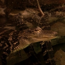 Wonders Of Wildlife National Museum & Aquarium - Museums