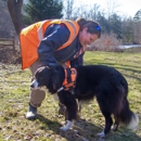 Wildlife Control Louisville - Animal Removal Services