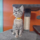Humane Society-Independence - Humane Societies