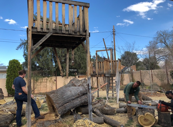 B&G TREE TRIMMING - Santa Fe, NM