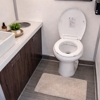 Luxury Loos Rentals To Go gallery