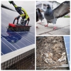 Solar Panel Cleaning Services and Accessories gallery