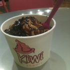 Kiwi Frozen Yogurt