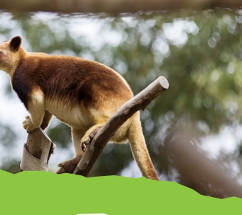 Ballarat Wildlife Park