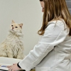 Devonshire Veterinary Clinic gallery