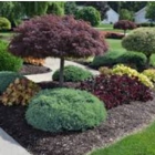 J & M Landscaping