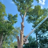 Perez Tree Service & Hardscaping gallery