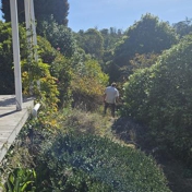 Gallery Image Number 2