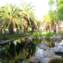 Pro Landscaping Inc. - Landscape Designers & Consultants