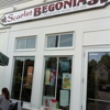 Scarlet Begonias gallery