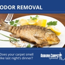 Auburn Carpet - Carpet & Rug Cleaning Equipment & Supplies