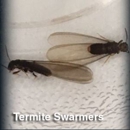 Scat Pest Control - Pest Control Services