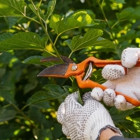 Hurricane Tree Services & Landscaping inc