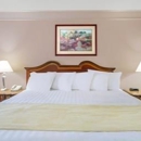 Days Inn by Wyndham Delta CO - Hotels