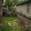 Altisimo Tree Service gallery