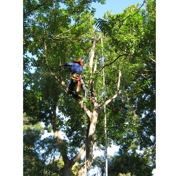 Gallery Image Number 4