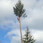 North Umpqua Tree Service