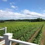 Brys Estate Vineyard & Winery