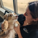 Dog Training Elite Greater Cleveland - Pet Training