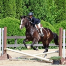 On Course Riding Academy - Riding Academies