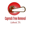 Caprock Tree Removal gallery