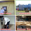 D & S Termite and Pest Control gallery