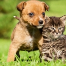 H & H Veterinary Service PA - Veterinarians