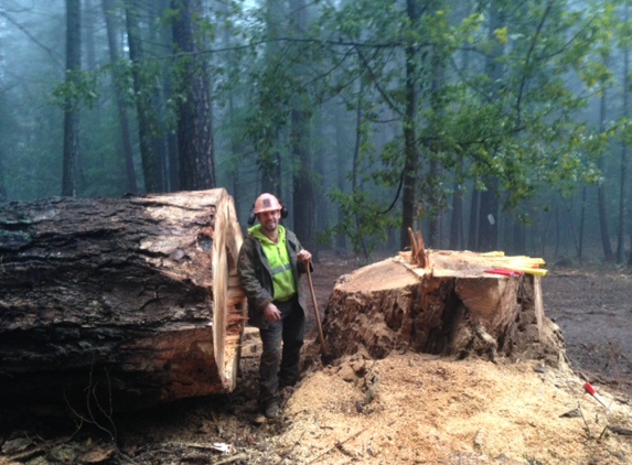 Arnold Bros Tree Service - Magalia, CA