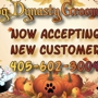 Dog Dynasty Grooming Salon