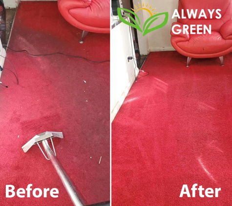 Always Green Carpet Cleaner - Woodhaven, NY
