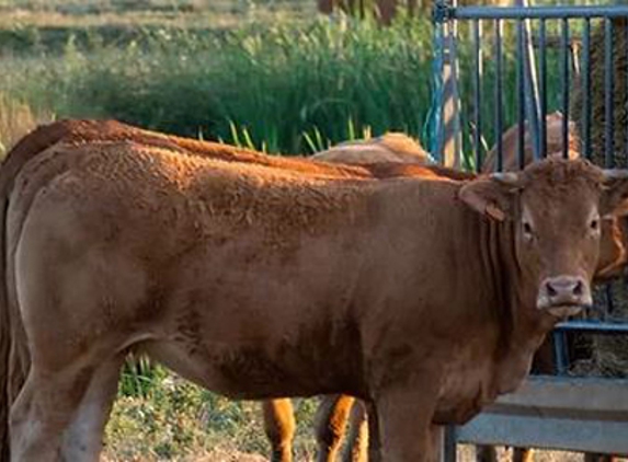 Bringelly Stockfeeds - Kemps Creek, NSW