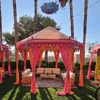 Taj Mahal Tents gallery