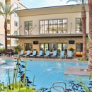 Biltmore at Camelback Apartments - Apartments