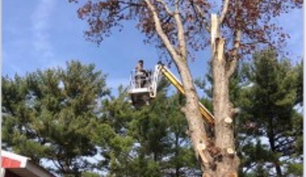 Rumble Bee Tree Service - Springfield, IL