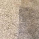 EcoClean LLC - Carpet & Rug Cleaners