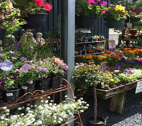 Burra Garden Supplies & Nursery - Korumburra, VIC