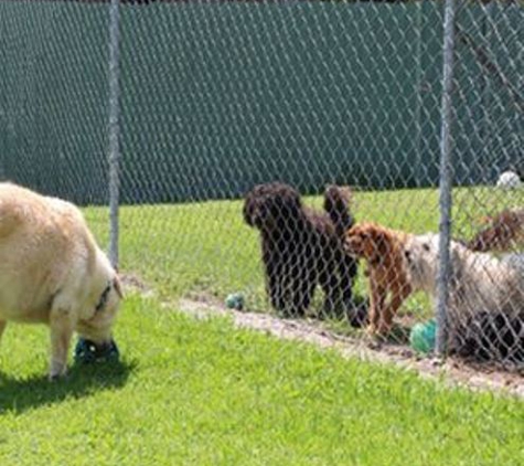 Pets Park Kennels - Sancrox, NSW