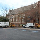 Goss Tree Service - Arborists