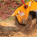 Thompson's Tree Service