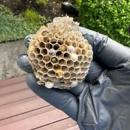 Banish Pest Control - Pest Control Equipment & Supplies