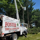 Foster Tree & Landscaping - Tree Service