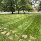 Rooted Lawn & Landscape